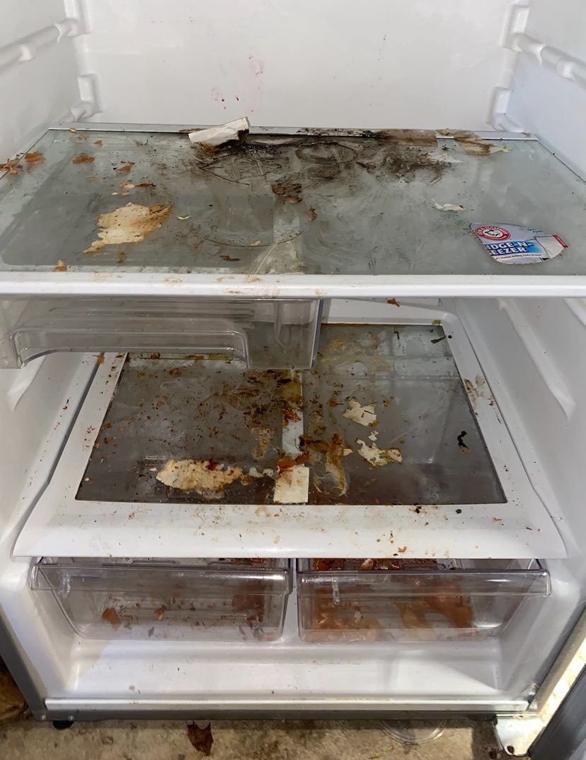 536273106_25406416805613521_7491012643980579666_n